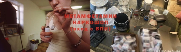 стаф Алексин