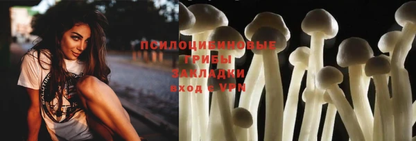 стаф Алексин
