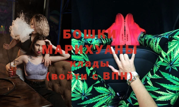 стаф Алексин