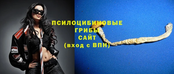 стаф Алексин