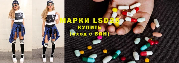 стаф Алексин