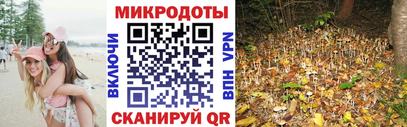Галлюциногенные грибы Psilocybine cubensis  Бикин 